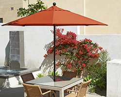 Umbrellas