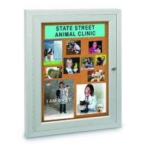 Indoor Single Door Cork Boards